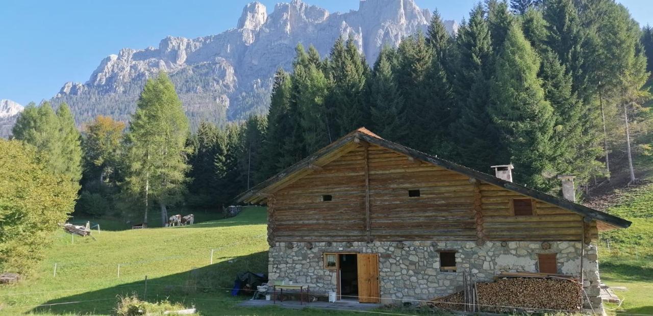 Baita Pra Petina Pale Di San Martino Siror Exterior photo