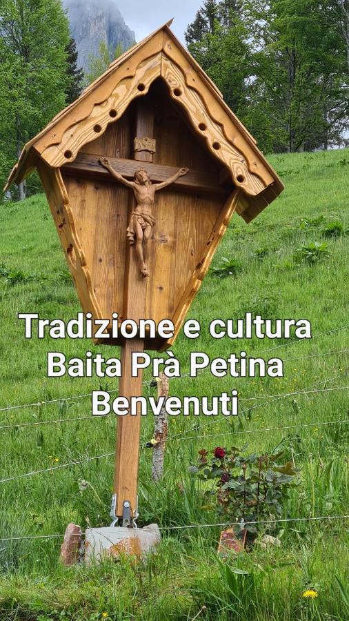 Baita Pra Petina Pale Di San Martino Siror Exterior photo